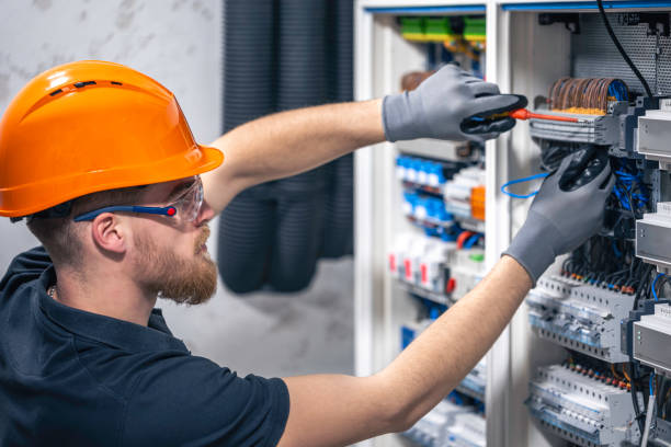 Best Ceiling Fan Installation Electrician  in Elmer, NJ
